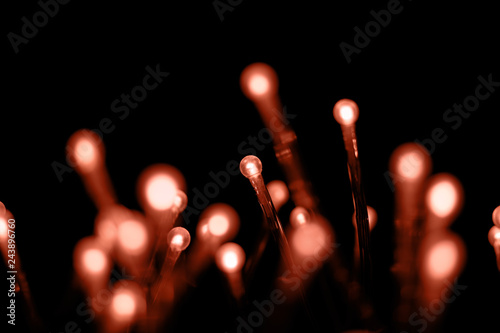 Many small led light bulbs on black background. Blur light bokeh. Living Coral color of the Year 2019