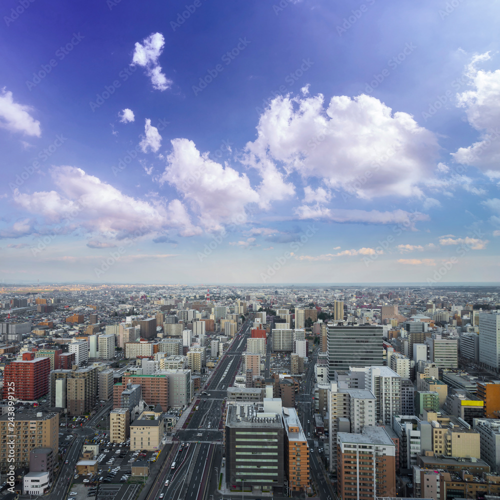 Cityscape of sendai city aerial skyscraper view of office building and downtown of sendia city background. Japan, Asia