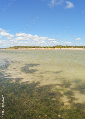 Fototapeta Naklejka Na Ścianę i Meble -  Seaweed and shallow waters on Coroa do Aviao islet - Igarassu, Pernambuco, Brazil