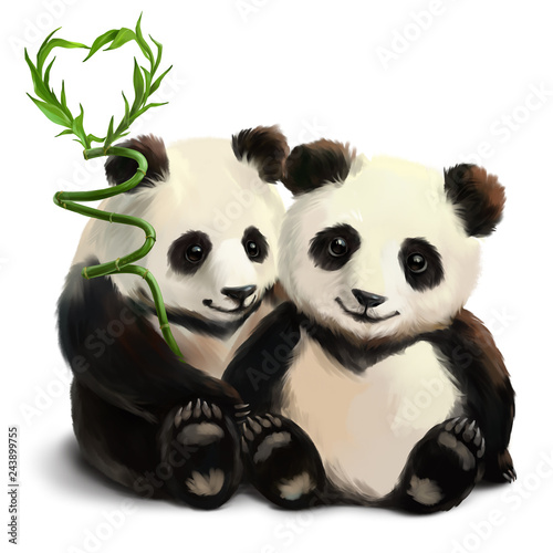 Two pandas and a bamboo branch