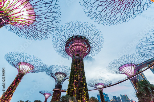 Photography Singapore Gardens by the Bay famous place for tourist
