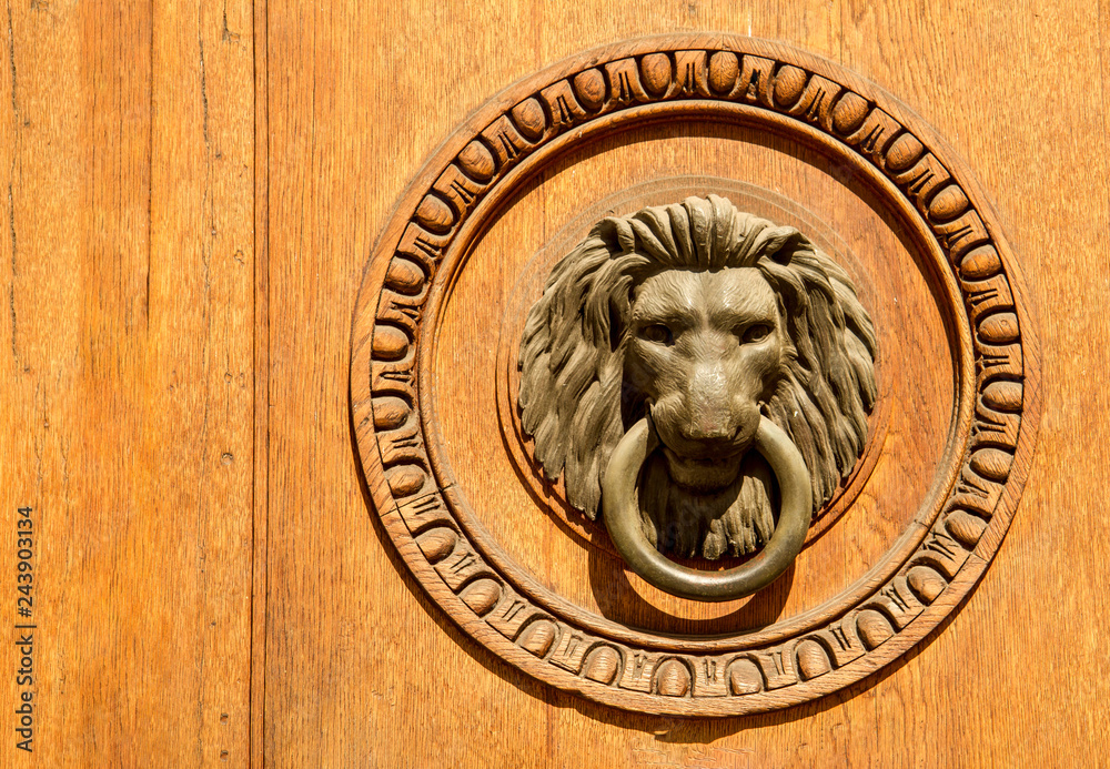 Classic Lion Metal Brass effect Door knocker in a circular wooden decorated frame in Vienna Austria