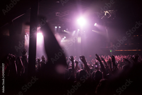 Crowd Hands at Concert