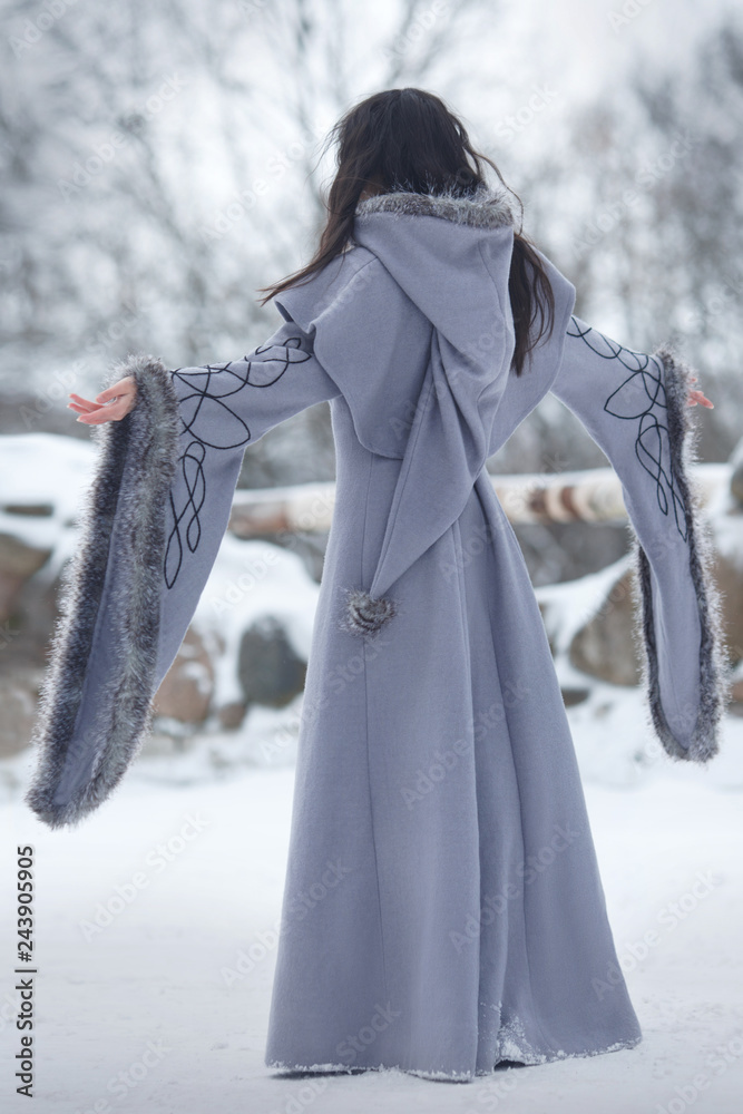 Elegant girl in a gray fantasy long-sleeved coat in winter park view from  the back. Stock Photo | Adobe Stock