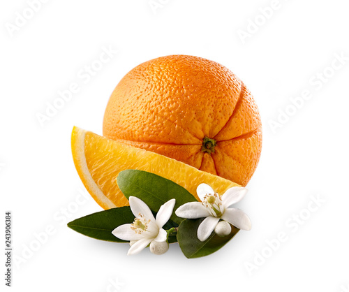 Orange slice with blossom on the white background