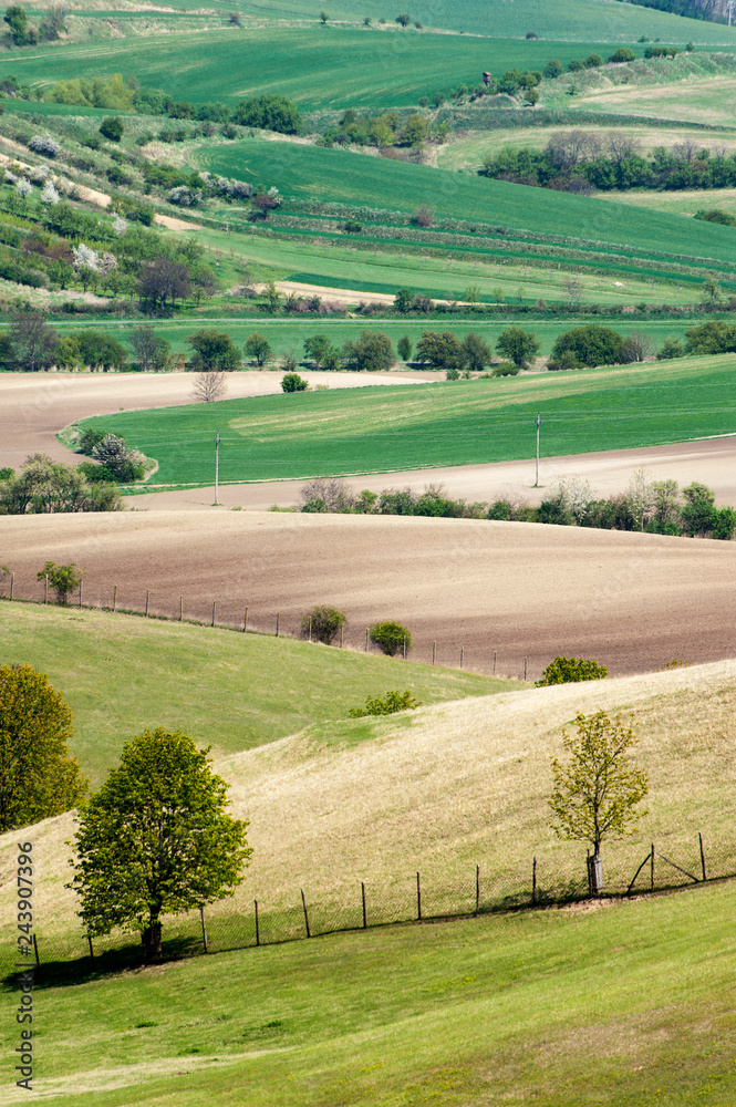 Landscape with rolling wavy green fields pattern texture in autumn