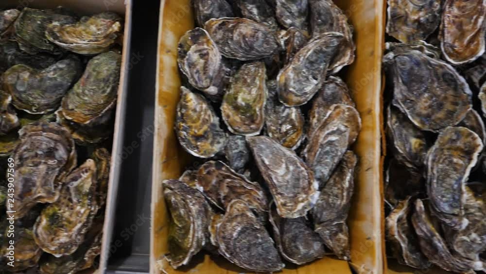 Oysters in boxes on shelves in seafood store Oysters in boxes on shelves in seafood store