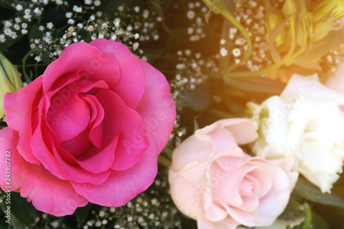 Pink Roses in Flower Arrangement