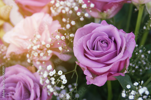 Bouquet of Purple Roses
