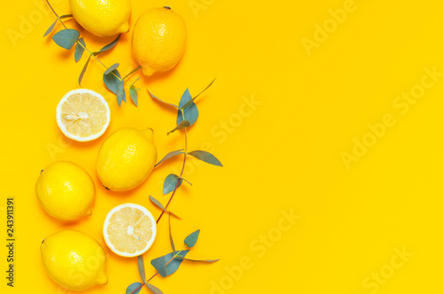 Ripe juicy lemons and green eucalyptus twigs on bright yellow background. Lemon fruit, citrus minimal concept. Creative summer food minimalistic background. Flat lay, top view, copy space.