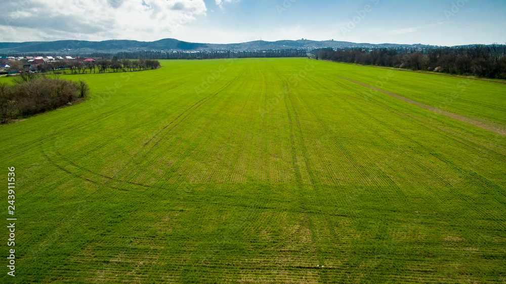 green filed from drone