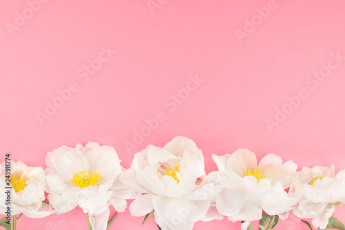 Fototapeta Naklejka Na Ścianę i Meble -  Blooming white peony flowers