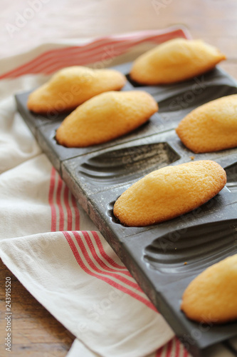 Madeleines-6561 photo