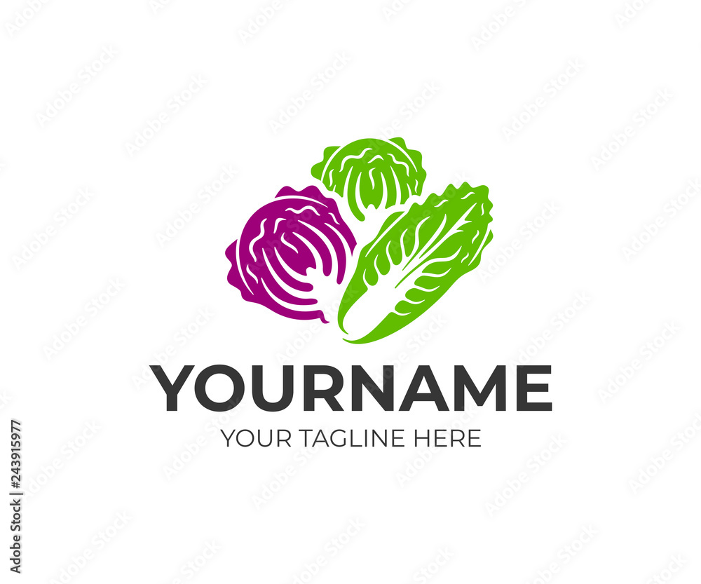 Chinese napa cabbage, white cabbage and red kubis merah, logo design. Vegetables, organic and natural food, vector design and illustration Chinese napa cabbage, white cabbage and red kubis merah, logo design. Vegetables, organic and natural food, vector design and illustration