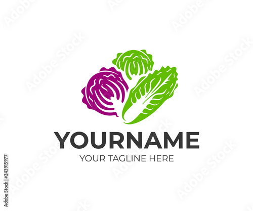 Chinese napa cabbage, white cabbage and red kubis merah, logo design. Vegetables, organic and natural food, vector design and illustration