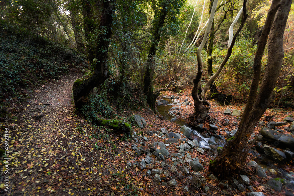 Naklejka premium Hiking trail Millomeris waterfall Cyprus