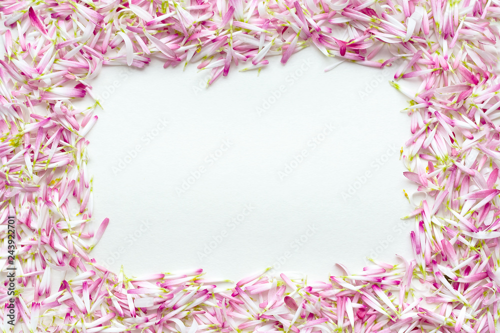Frame of a large number of petals of daisies. Frame of a large number of petals of daisies.