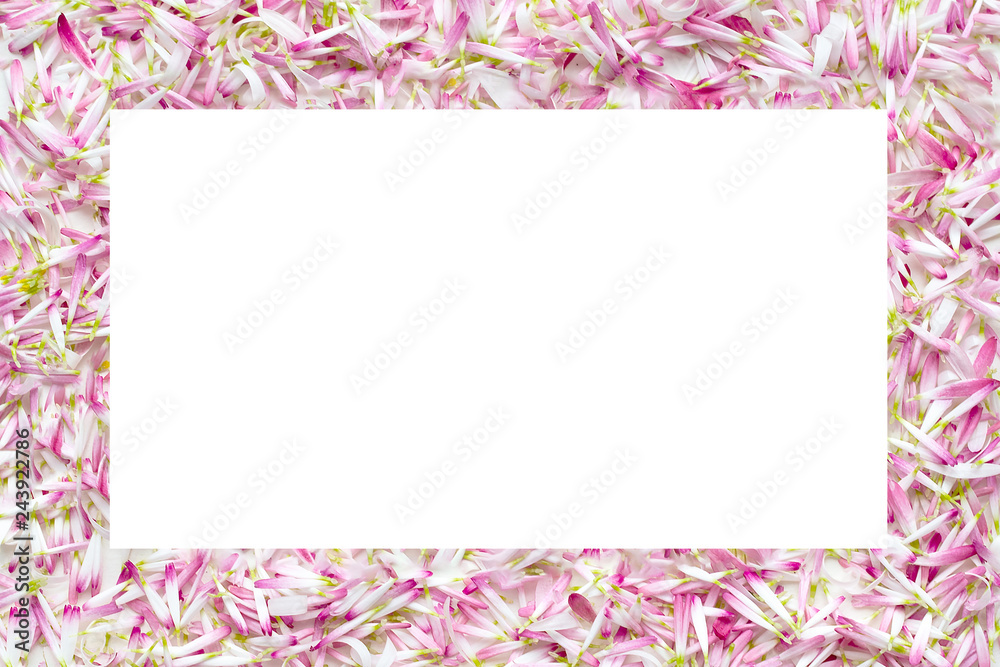 Isolate frames from a large number of petals daisies. Isolate frames from a large number of petals daisies.