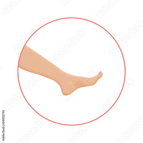 Healthy foot in circle with pedicure. Ancle, knee and toes