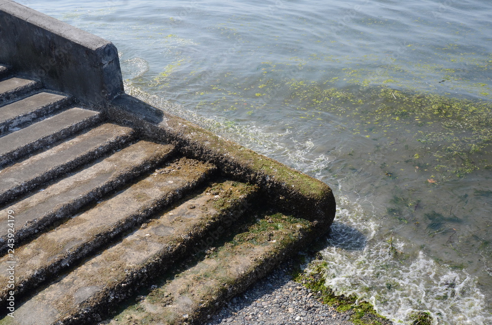 Obraz premium STEPS TO PUGET SOUND, SEATTLE WASHINGTON
