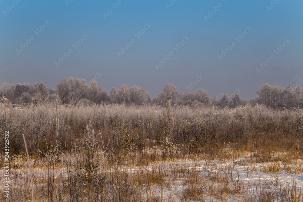 Winter landscape. Plants and trees covered with hoarfrost Winter landscape. Plants and trees covered with hoarfrost