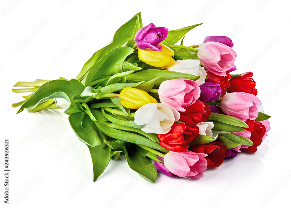 Spring tulips flowers bouquet, romantic greeting gift Spring tulips flowers bouquet, romantic greeting gift
