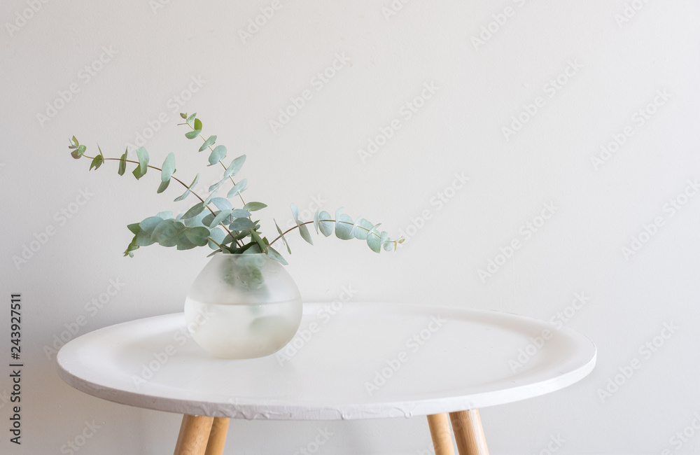 Eucalyptus leaves in small round glass vase on white table against neutral  wall background with copy space (selective fcous) foto de Stock | Adobe  Stock