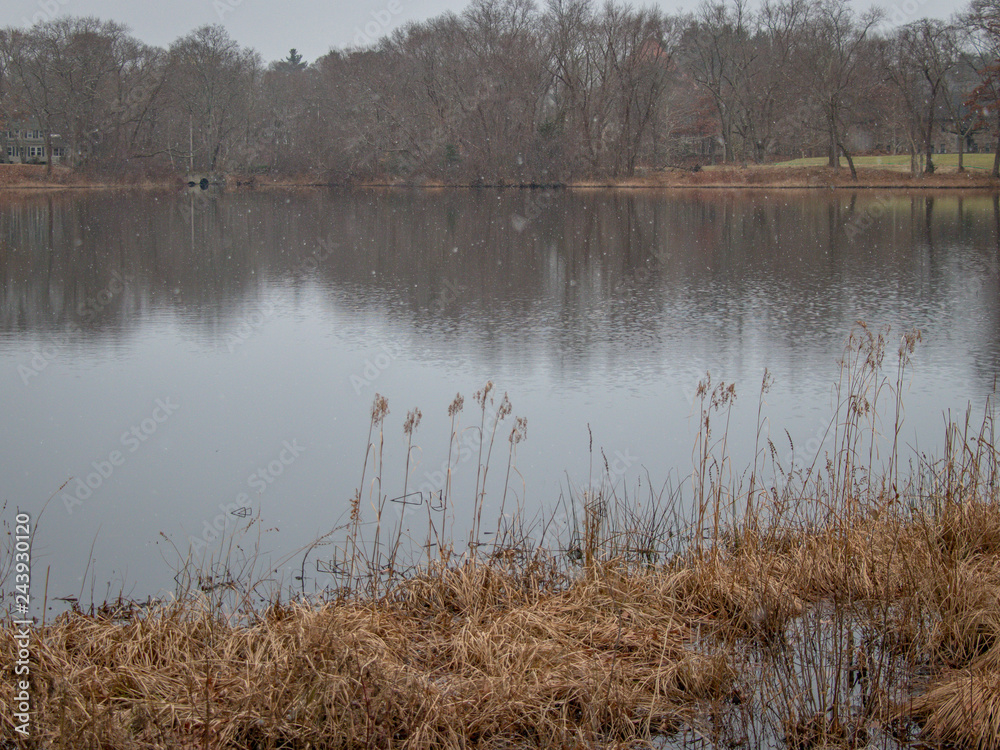 Fototapeta premium lake in winter with snow falling