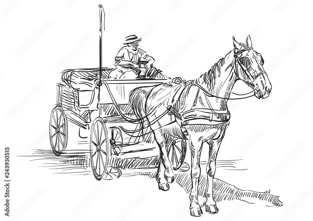 Obraz premium Horse in harness2