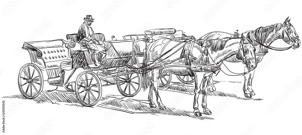 Obraz premium Horse with carriage2