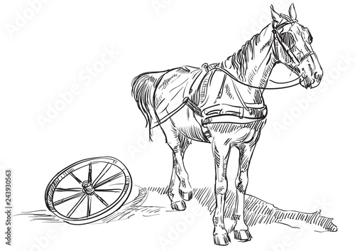 Horse with wheel