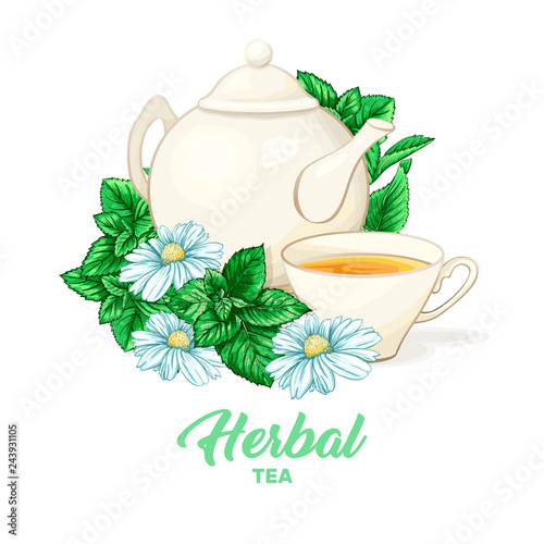 Porcelain or Ceramic Teapot Service. Mint Tea Leaves and Chamomile Flowers. Green Tea Cup. Isolated and Detailed Herbal Therapy Vector Illustration. Banner Design, Restaurant Menu, English Breakfast.