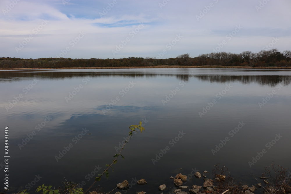 Small tree growing on waters edge. Small tree growing on waters edge.