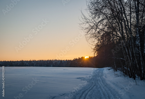Winter landscape with a wild nature: birches, xmas trees, pines, etc. © Антон Ямщиков