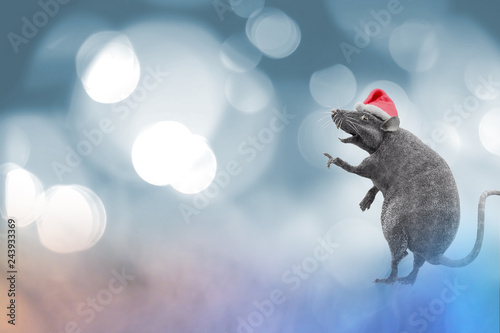 new year rat wearing a christmas hat render 3d, Sign for Year of Rat