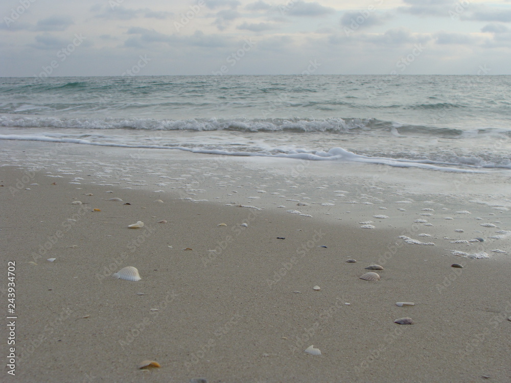 footprints on the beach