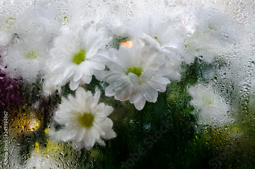 A bouquet of white chrysanthemums behind the steamy show-window at night time