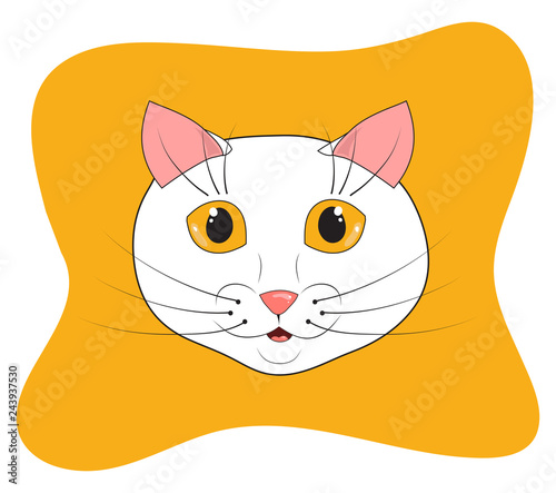 White cat muzzle