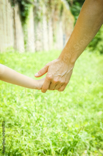 beautiful hands of a child and a parent in a park in nature © Kostia