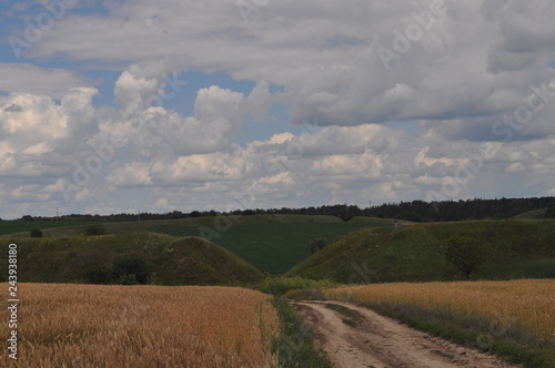 road in the field
