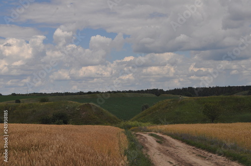 road in the field