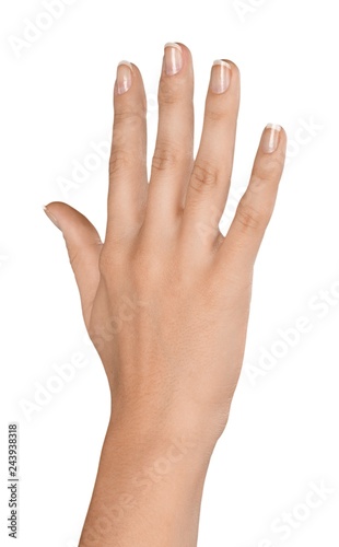 Raised Hand / Five Fingers © BillionPhotos.com