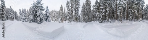 360 wide panoramic view of winter landscape with snow covered trees near Seefeld in the Austrian state of Tyrol. Winter in Austria