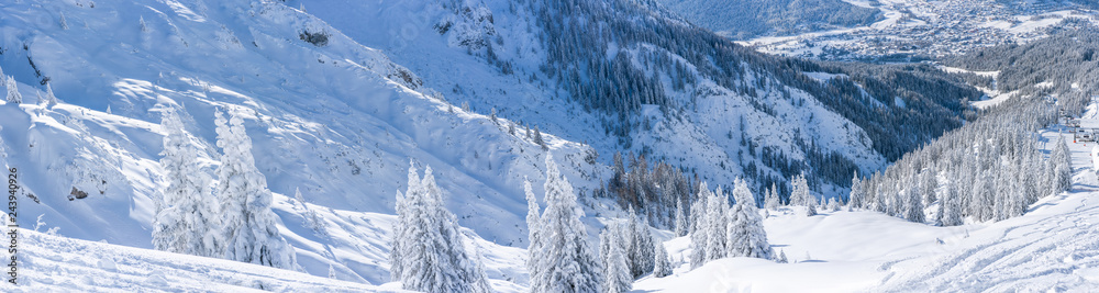 Wide panoramic view of winter landscape with snow covered trees and Alps in Seefeld in the Austrian state of Tyrol. Winter in Austria