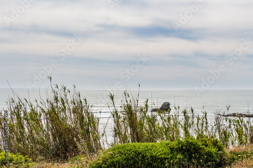 High green grass. Atlantic Ocean in the blurry background. Cloudy sky. Nature scenery.