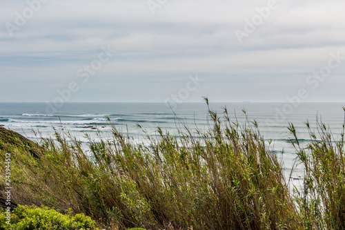 High green grass. Atlantic Ocean in the blurry background. Cloudy sky. Nature scenery.