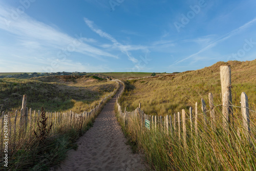 Fototapeta Naklejka Na Ścianę i Meble -  South Devon Coastal Path