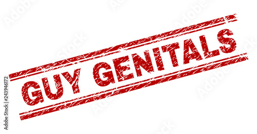 GUY GENITALS seal print with grunge texture. Red vector rubber print of GUY GENITALS text with retro texture. Text tag is placed between double parallel lines.