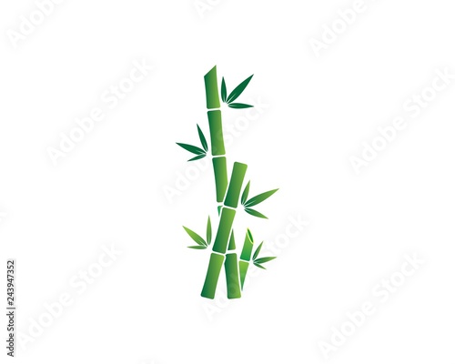 Bamboo with green leaf vector icon