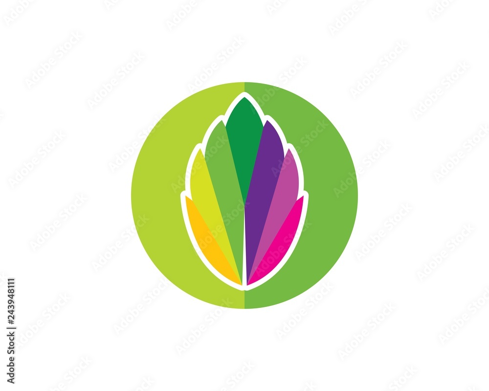 papermint leaf illustration vector